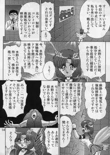 水野亜美日記 セーラースターズ, 日本語