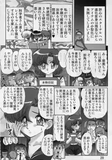 水野亜美日記 セーラースターズ, 日本語