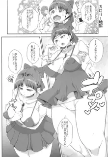 猫娘妖乱奇譚, 日本語