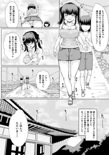 夏の憑依, 日本語