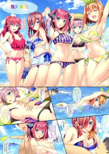 Gotoubun no Yuuwaku, 中文