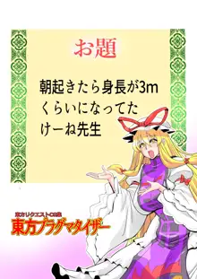 東方プラグマタイザー32, 日本語