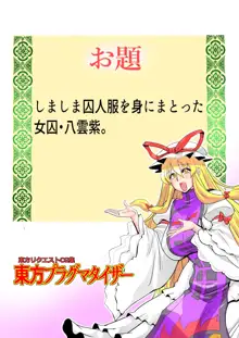 東方プラグマタイザー32, 日本語