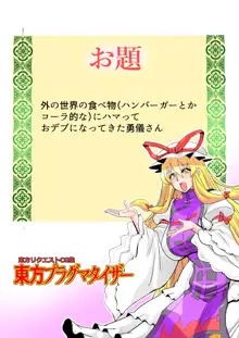 東方プラグマタイザー33, 日本語