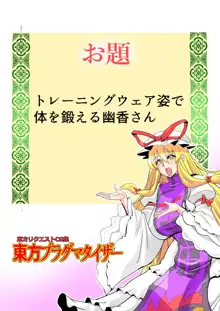 東方プラグマタイザー33, 日本語