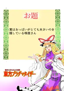 東方プラグマタイザー33, 日本語