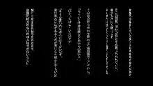 えっちなバニーさんがいるお店, 日本語