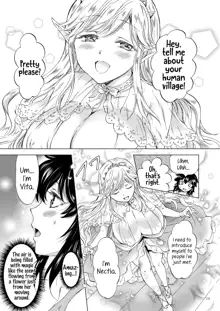 Seinaru Chichi no Elf Hime, English