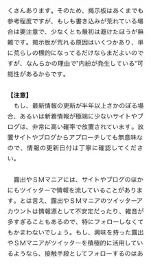 本当に正しいセックス 複数編, 日本語