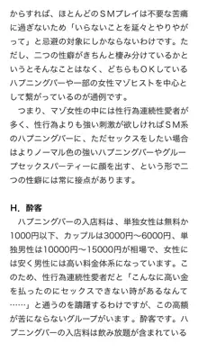 本当に正しいセックス 複数編, 日本語