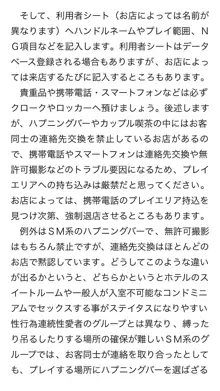 本当に正しいセックス 複数編, 日本語