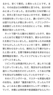 本当に正しいセックス 複数編, 日本語