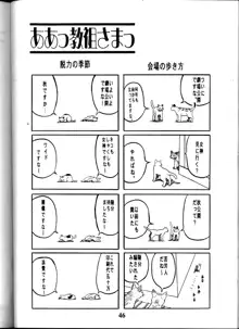 ああんお母さまっ, 日本語