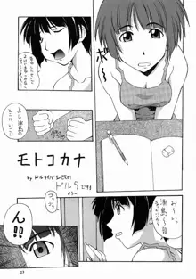 娘々の素, 日本語