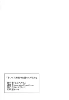 歩いてた摩美々を金で買ってみる本, 日本語