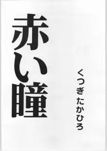 Crossing the Line Round Two, 日本語