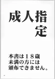 Crossing the Line Round Three, 日本語