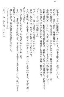 生徒会長・可憐堂れいわがぱんつを見せてくる放課後, 日本語