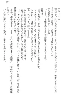 生徒会長・可憐堂れいわがぱんつを見せてくる放課後, 日本語