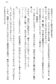 生徒会長・可憐堂れいわがぱんつを見せてくる放課後, 日本語