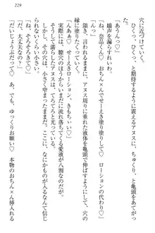 生徒会長・可憐堂れいわがぱんつを見せてくる放課後, 日本語