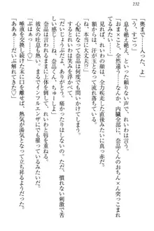 生徒会長・可憐堂れいわがぱんつを見せてくる放課後, 日本語