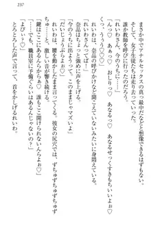 生徒会長・可憐堂れいわがぱんつを見せてくる放課後, 日本語