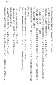 生徒会長・可憐堂れいわがぱんつを見せてくる放課後, 日本語