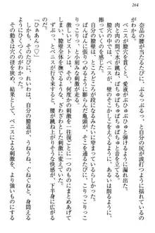 生徒会長・可憐堂れいわがぱんつを見せてくる放課後, 日本語