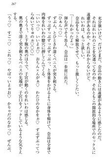 生徒会長・可憐堂れいわがぱんつを見せてくる放課後, 日本語