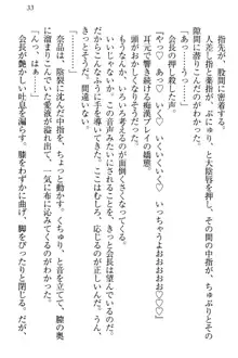 生徒会長・可憐堂れいわがぱんつを見せてくる放課後, 日本語