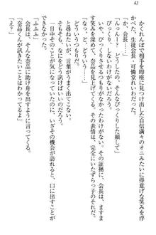 生徒会長・可憐堂れいわがぱんつを見せてくる放課後, 日本語