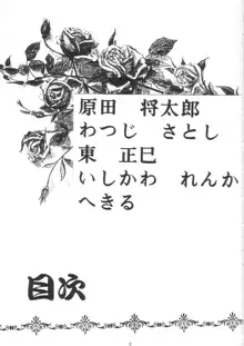 瑠璃堂画報 壱, 日本語