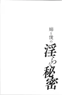 Ane to Boku no Midarana Himitsu, 中文