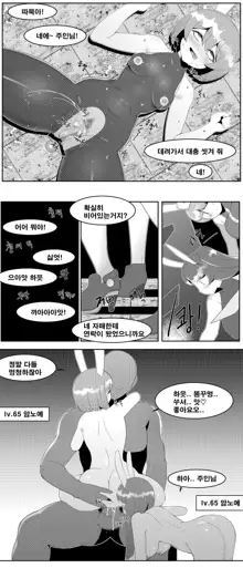 쑤컹이 암캐전직, 한국어