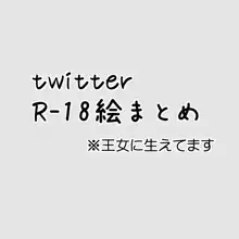 サキュバスとか男体化とか, 日本語