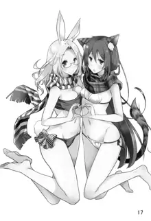 Wagahai wa Neko desu ga, 中文