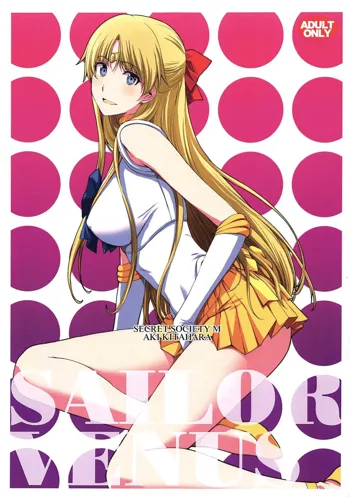 SAILOR VENUS, 日本語