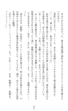 超昂神騎エクシール ～双翼、魔悦調教～, 日本語