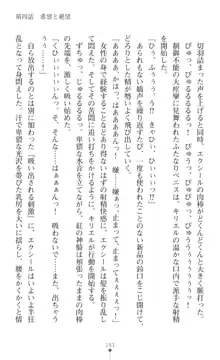 超昂神騎エクシール ～双翼、魔悦調教～, 日本語