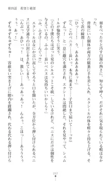 超昂神騎エクシール ～双翼、魔悦調教～, 日本語