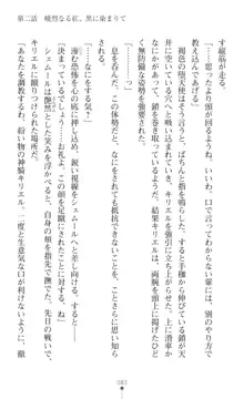 超昂神騎エクシール ～双翼、魔悦調教～, 日本語