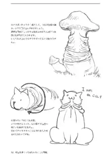 珍宝描くって楽しいね！, 日本語