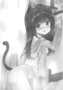 Onii-chan Nekomimi wa Osuki desu ka, 中文