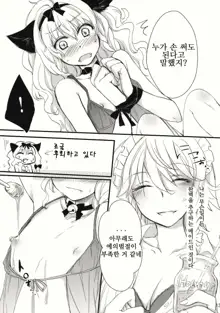 Kore Touhou de Yaru Hitsuyou Naku ne?, 한국어