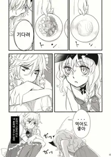 Kore Touhou de Yaru Hitsuyou Naku ne?, 한국어