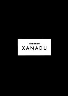 XANADU, 中文