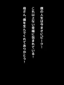 僕の彼女は公衆ビッチ便女, 日本語