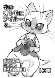 Yoru no Otomo ni Airou o., 中文