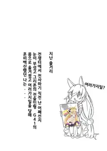 95 ~Sennyuu Chousa~ | 95~잠입조사~, 한국어